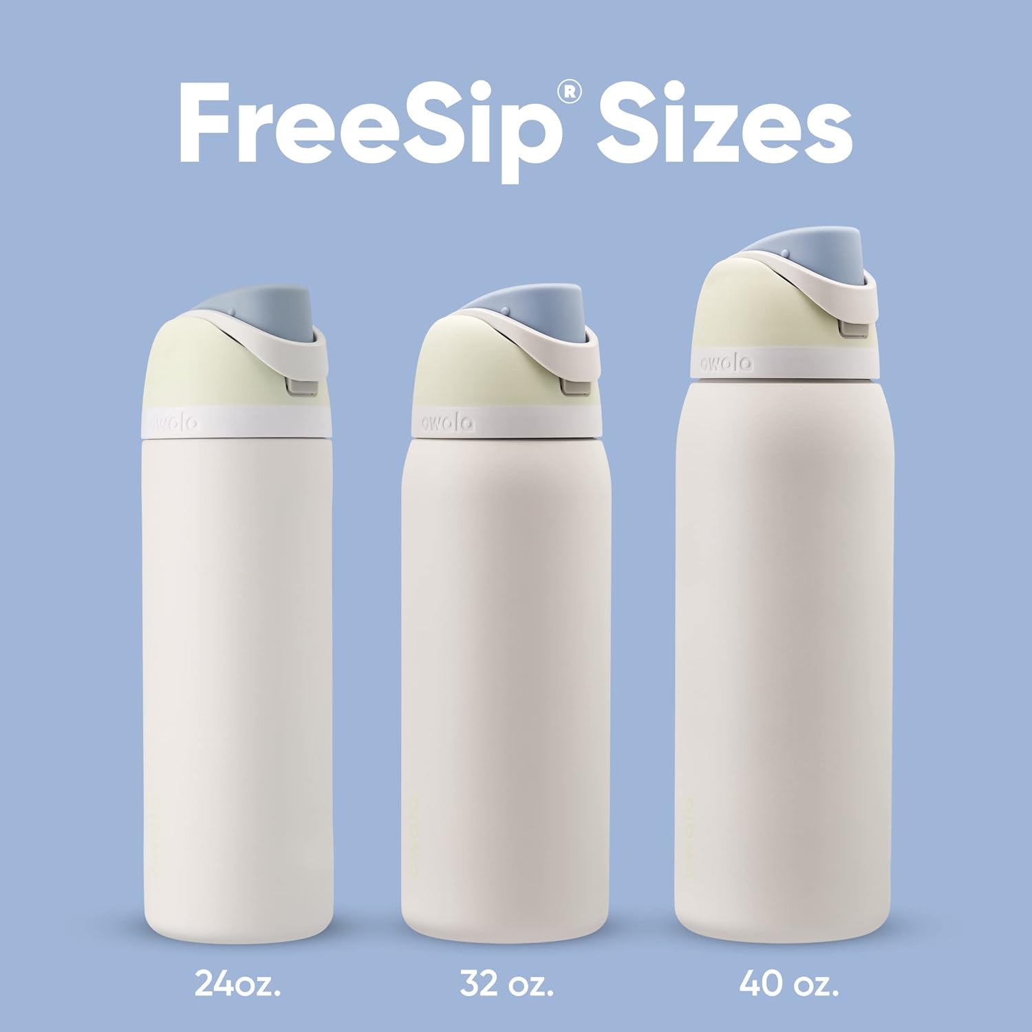 Owala FreeSip Water Bottle